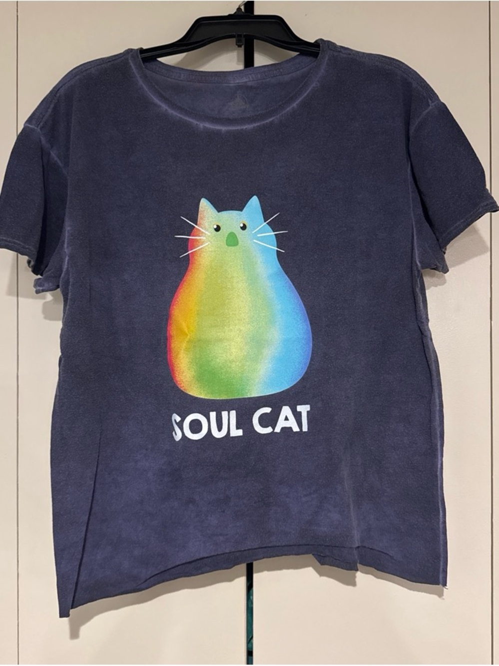 Disney Navy Short Sleeve Tee with Rainbow Soul Cat Graphic